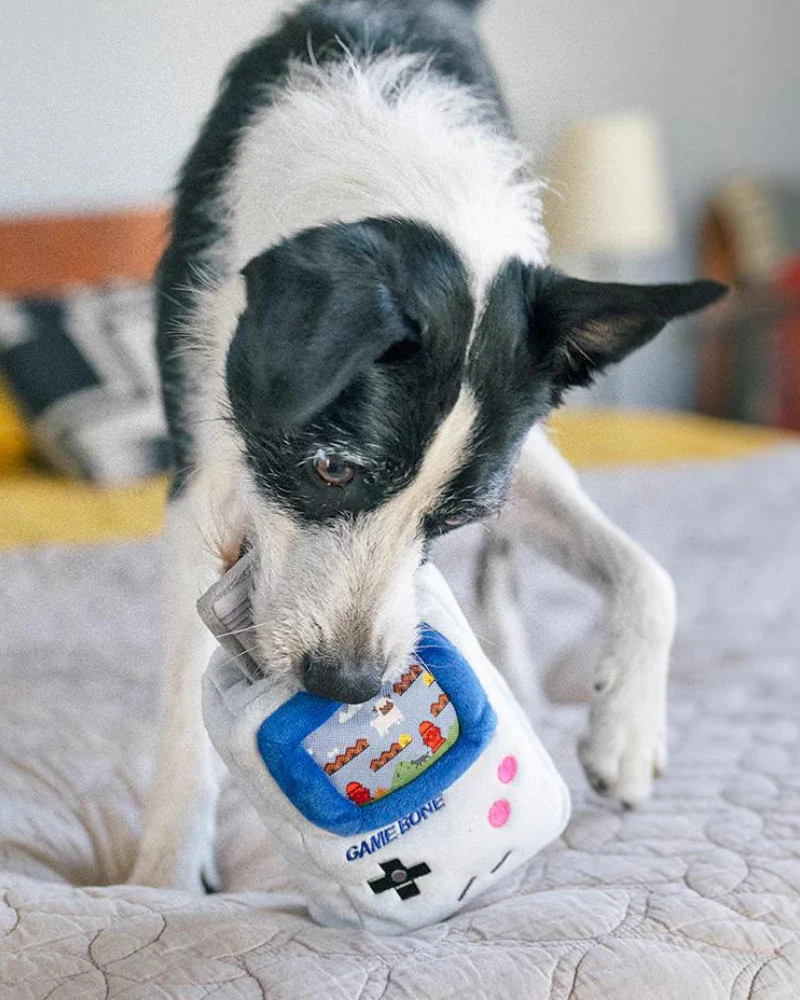 Game Bone Squeaky Plush Dog Toy - Image 2