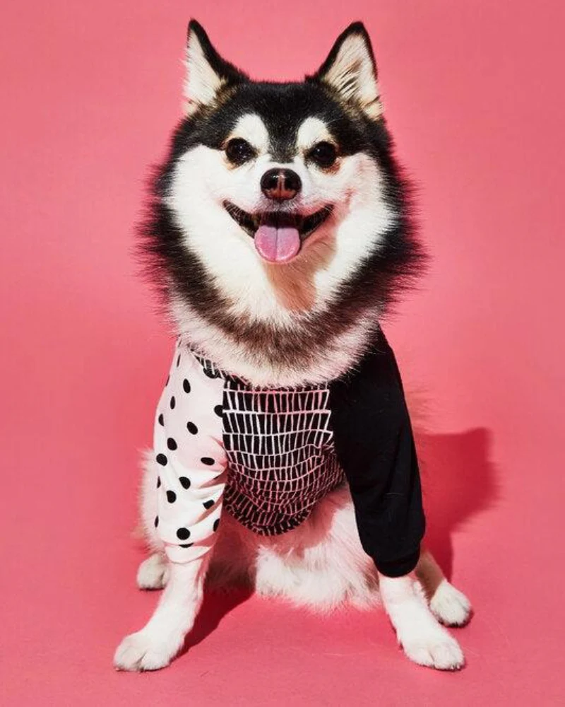 Geometric Print Dog T-Shirt (Made in the USA)