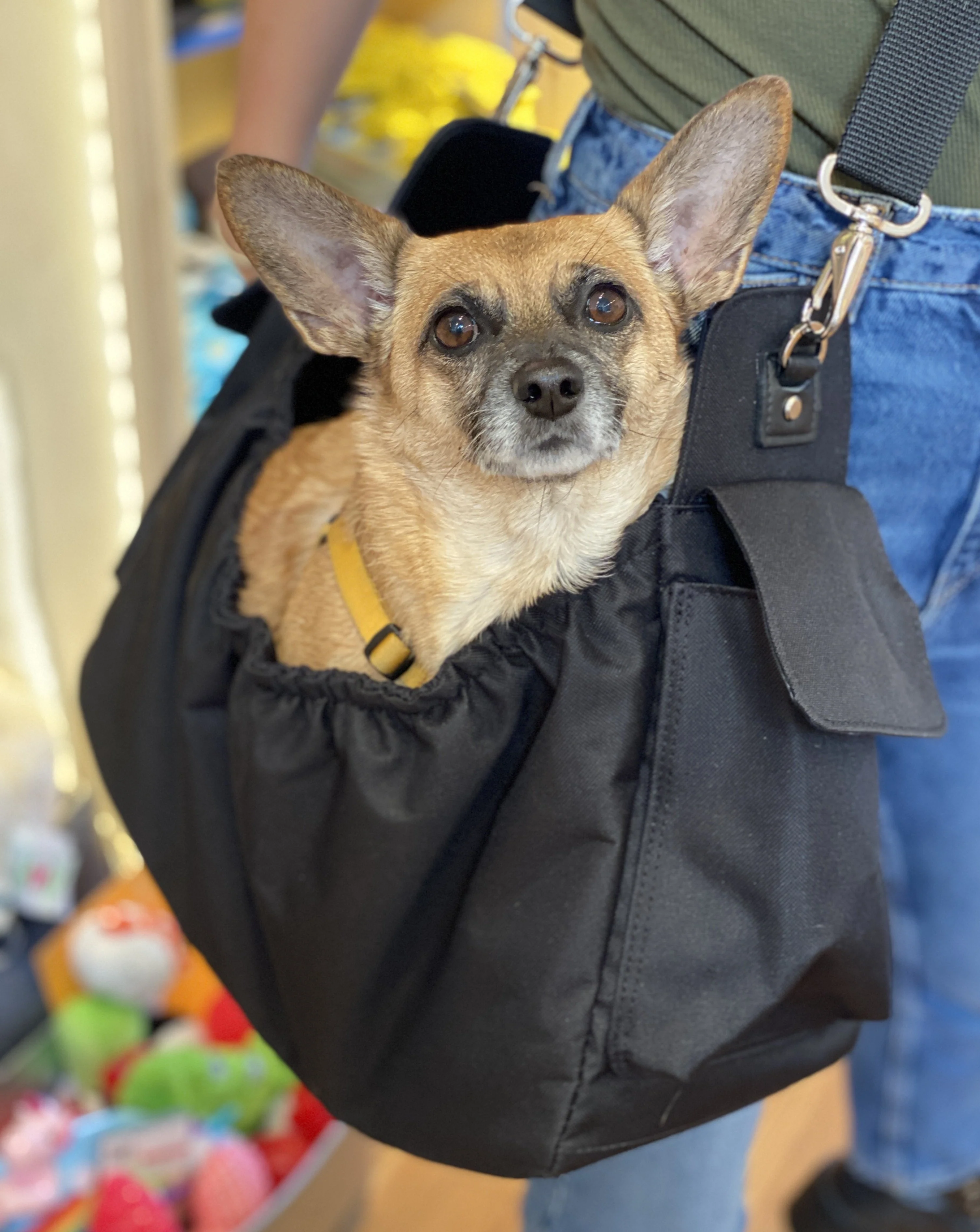 Gigi Sling Pet Carrier in All Black (Made in the USA) - Image 5