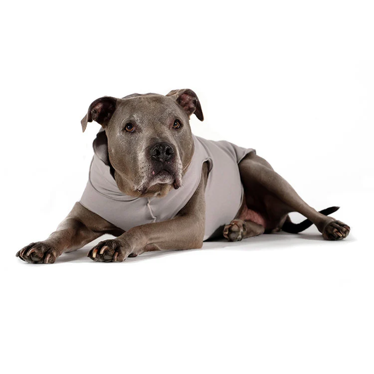 Santa Fe Organic Cotton Pullover in Silver Grey (FINAL SALE)