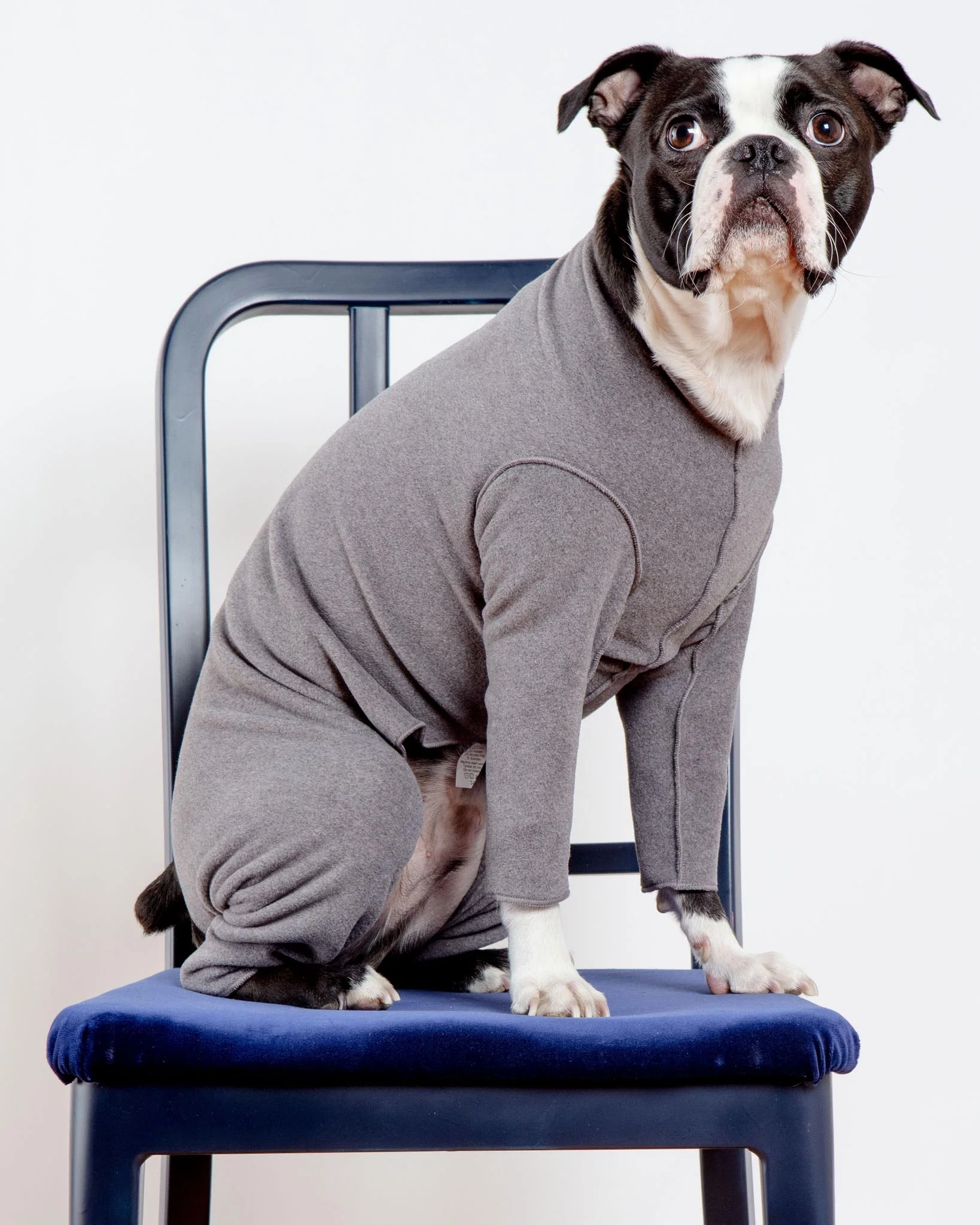 Stretch Fleece Onesie in Charcoal (Made in the USA, DOG & CO. + GOLD PAW Exclusive!)