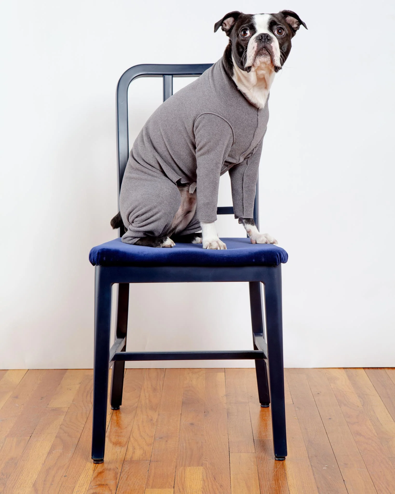 Stretch Fleece Onesie in Charcoal (Made in the USA, DOG & CO. + GOLD PAW Exclusive!) - Image 3
