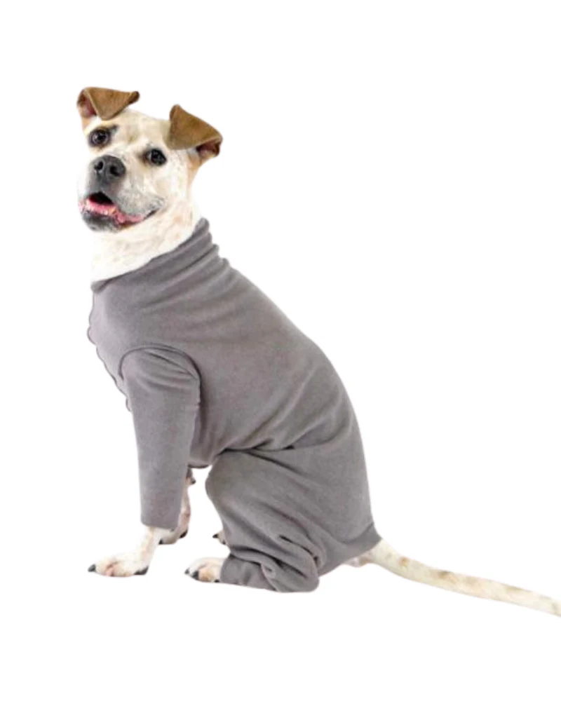 Stretch Fleece Onesie in Charcoal (Made in the USA, DOG & CO. + GOLD PAW Exclusive!) - Image 6