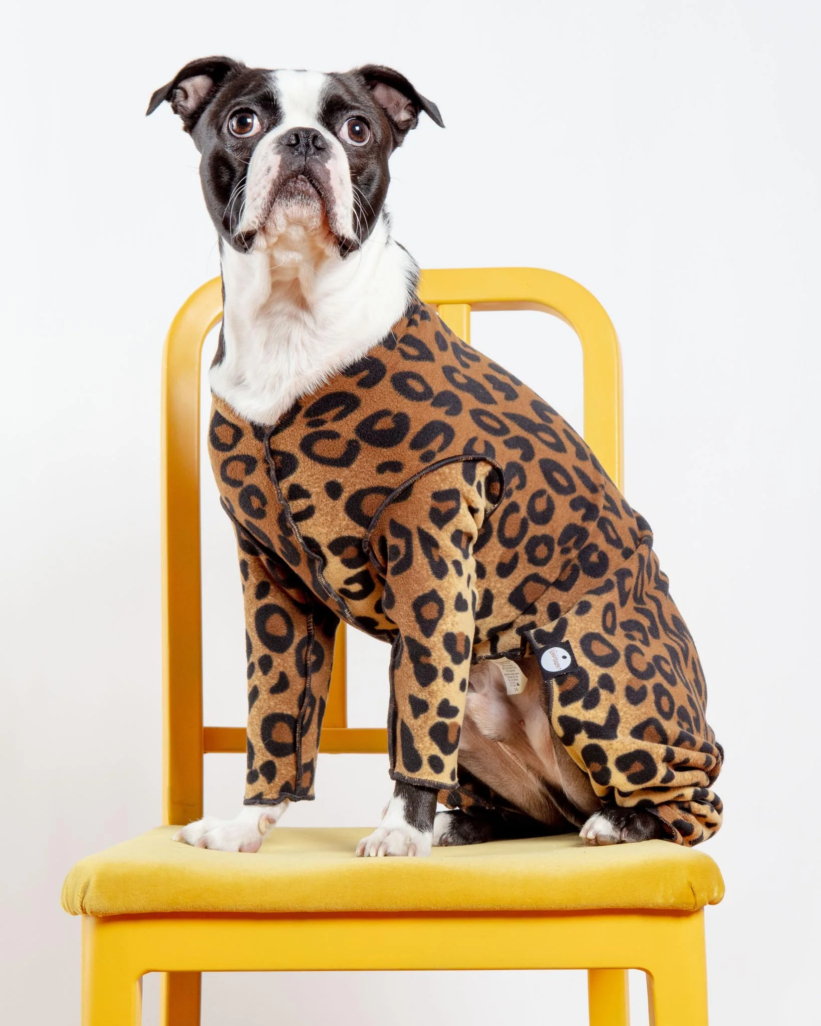Stretch Fleece Onesie in Leopard (Made in the USA, DOG & CO. + GOLD PAW Exclusive!) - Image 4