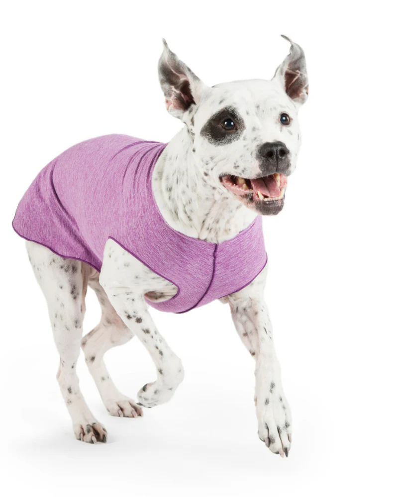 Sun Shield Dog Tee in Violet (Made in the USA) << CLEARANCE >>