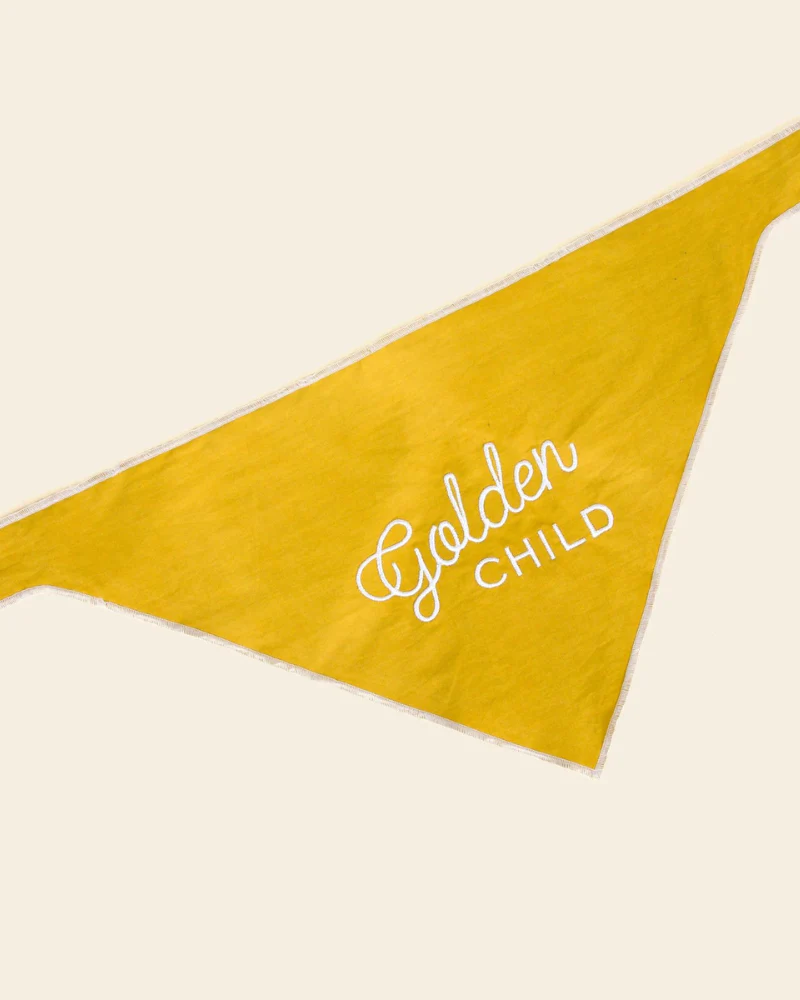 Golden Child Dog Bandana - Image 4