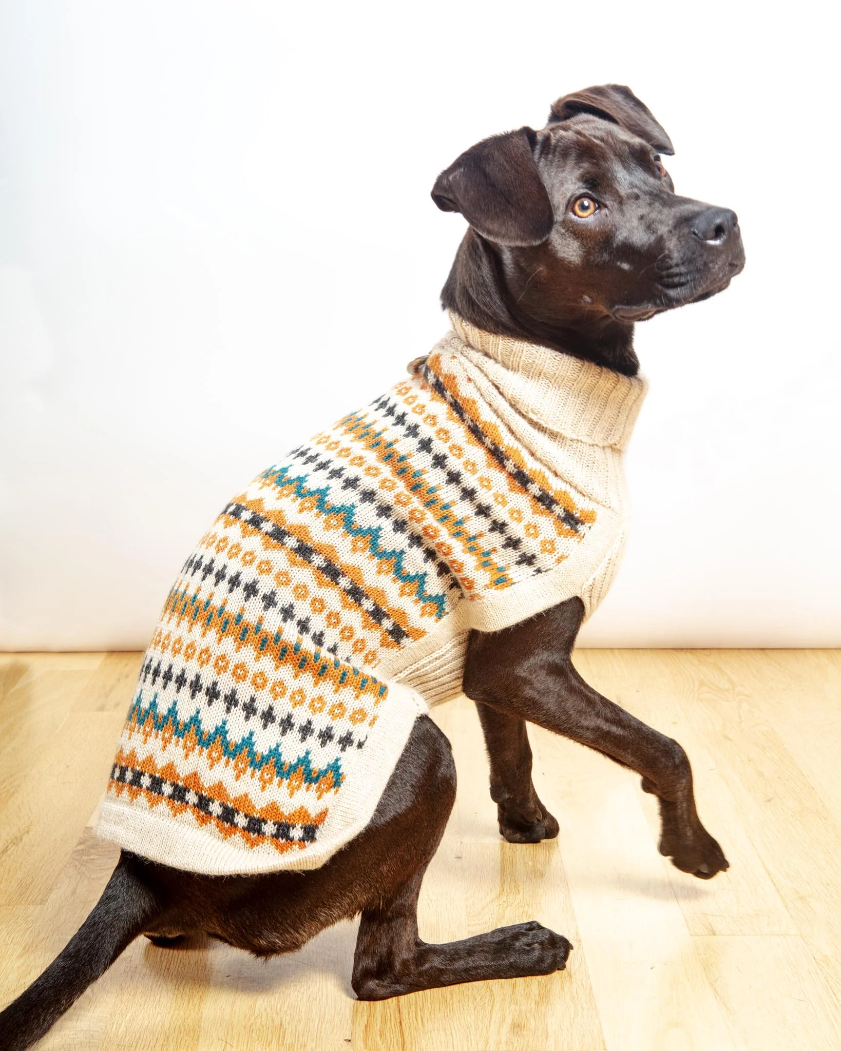 Golden Dreams Alpaca Dog Sweater (FINAL SALE) - Image 6