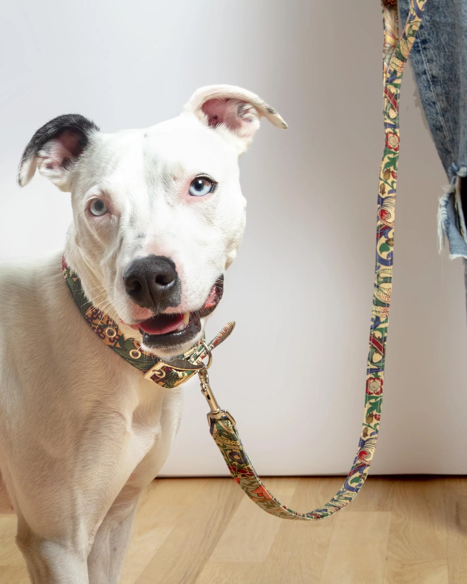 William Morris Golden Lily Print Dog Lead (FINAL SALE) - Image 3