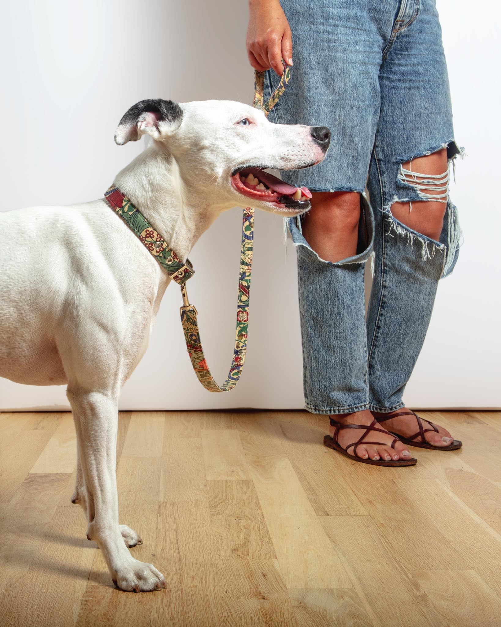 William Morris Golden Lily Print Dog Lead (FINAL SALE) - Image 4