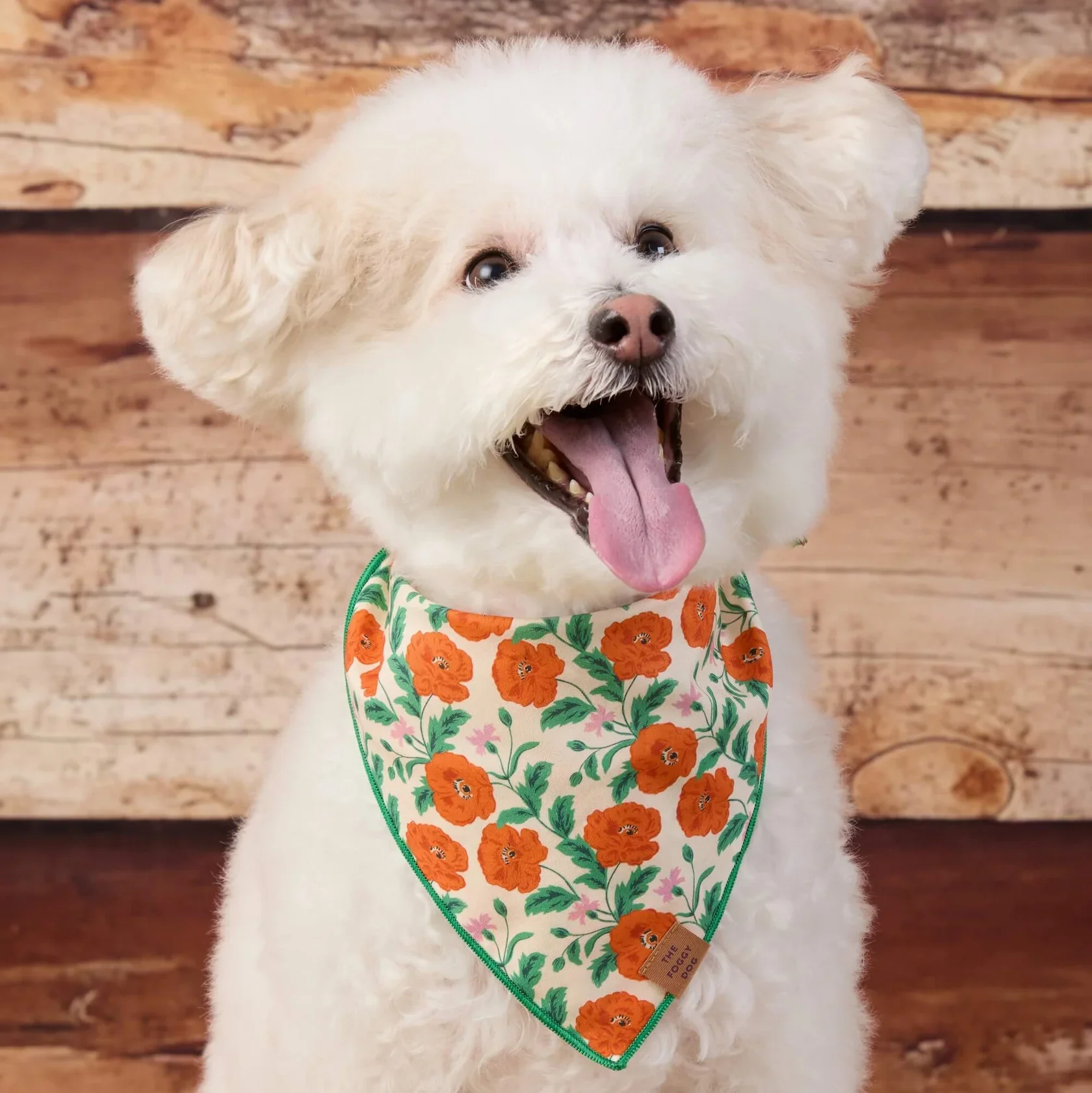 Golden Poppies Dog Bandana (Made in the USA) - Image 2