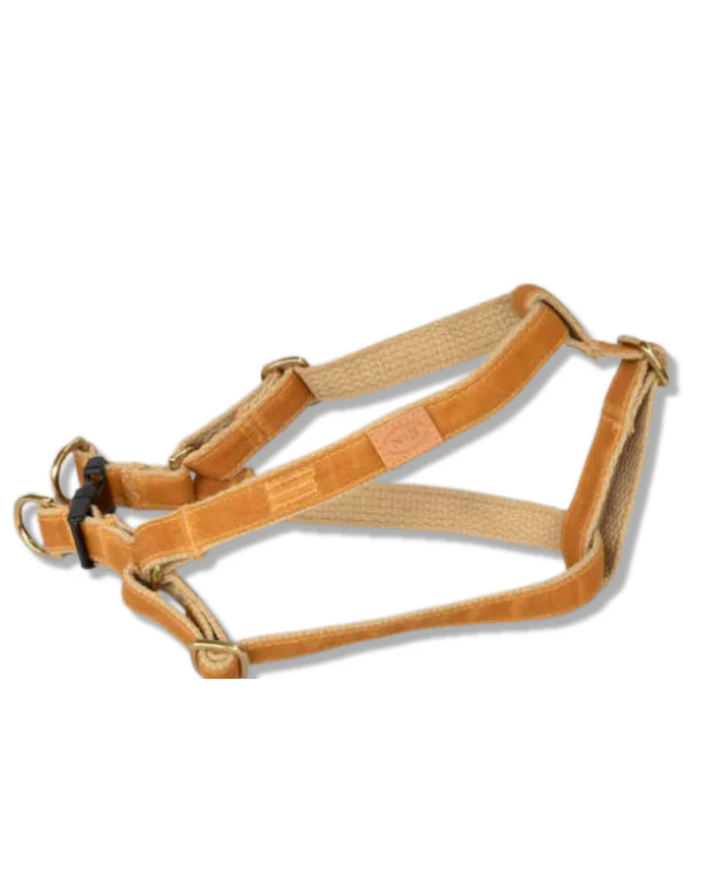 Golden Waxed Dog Lead (Made in the USA) - Image 3