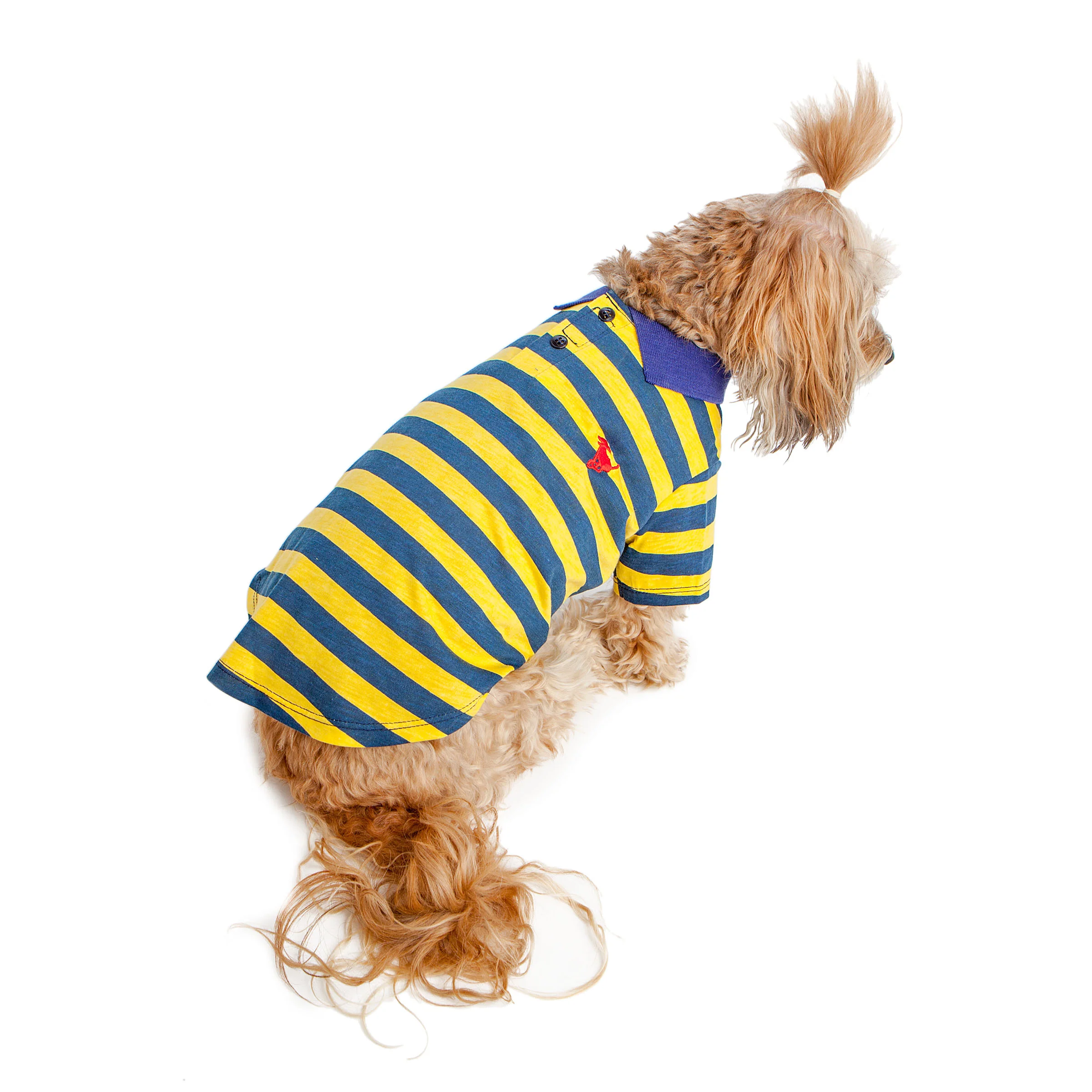 BEST FURRY FRIENDS | Striped Polo in Yellow and Blue - Image 3