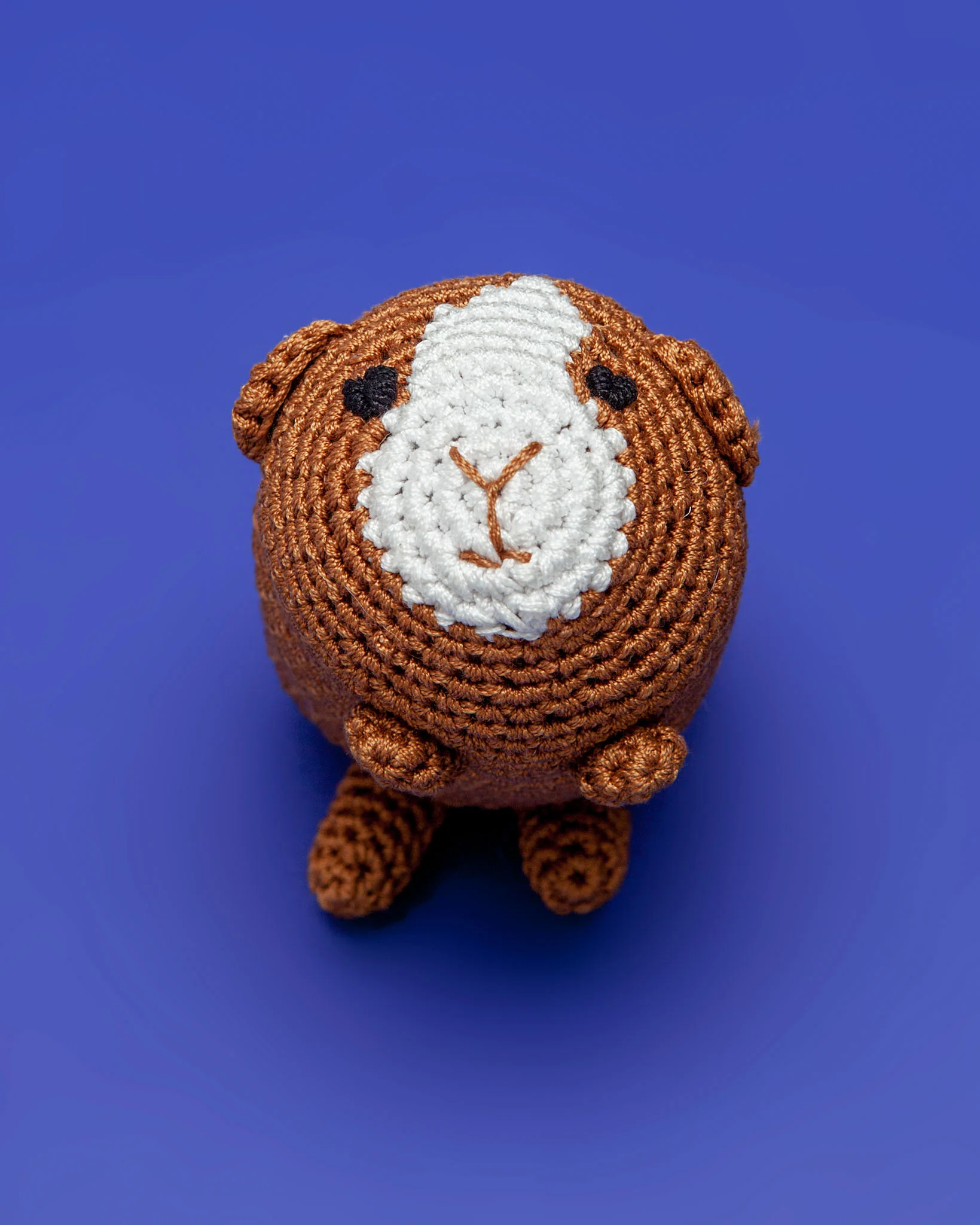 Guinea Pig Organic Knit Dog Toy