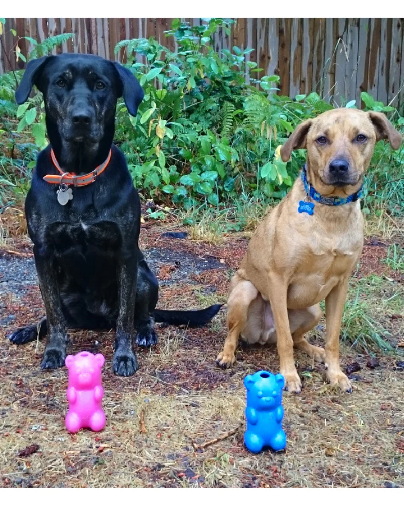 Gummy Bear Crunch Dog Toy (Made in the USA) - Image 4
