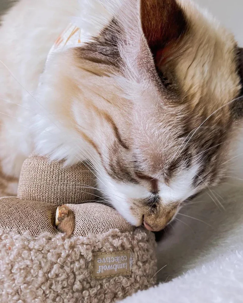 GUU Mushroom Nosework Interactive Toy for Dogs & Cats - Image 8