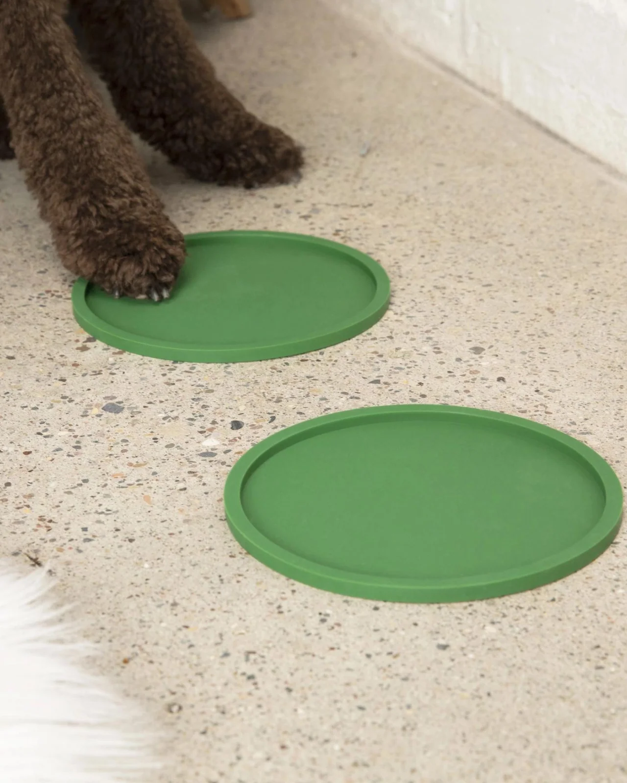 Habit Circle Dog Placemat (Set of 2) - Image 8