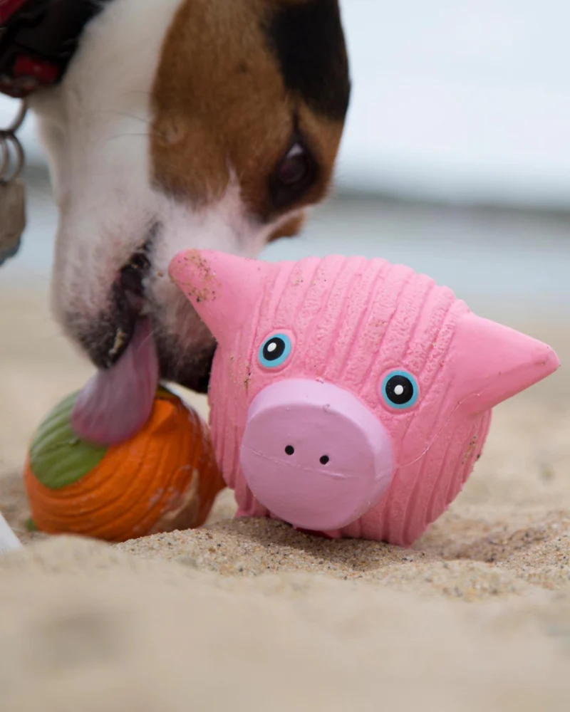 Hamlet the Pig Ruff-Tex® Squeaky Dog Toy - Image 4