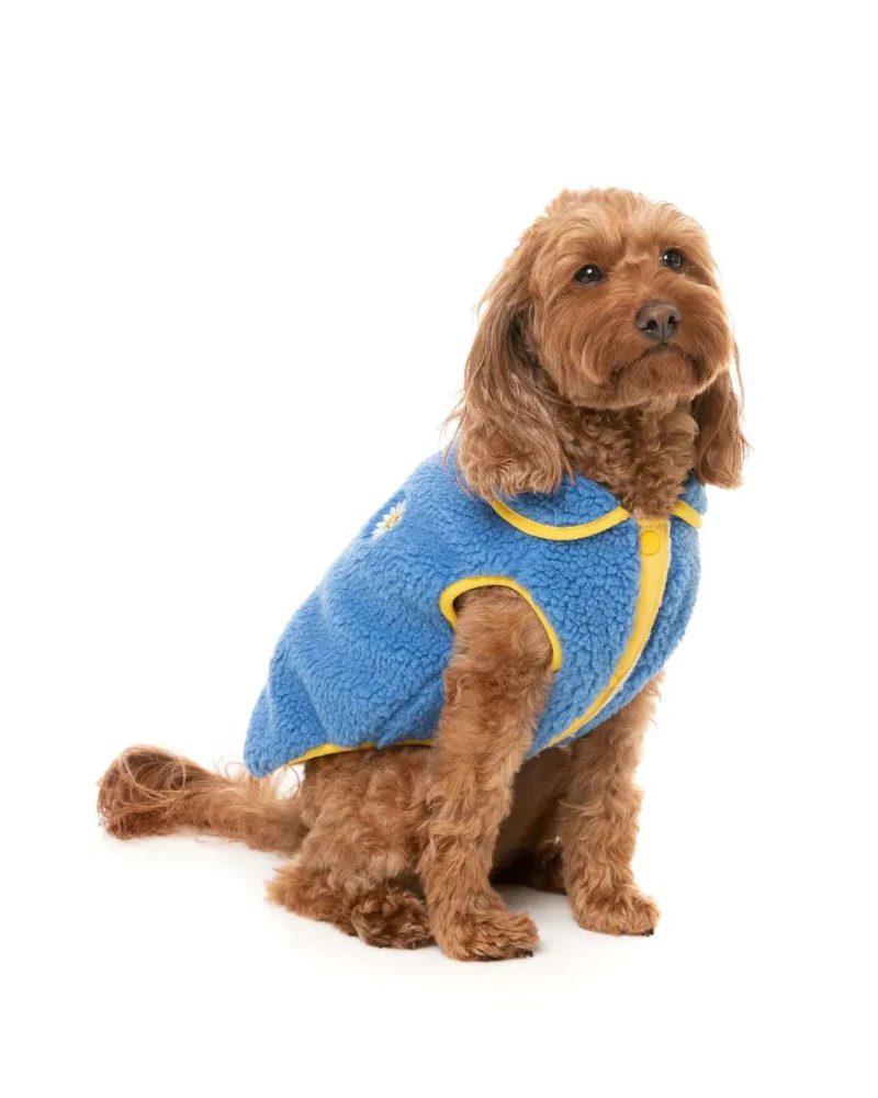 Hana Dog Jacket in Blue (FINAL SALE) - Image 4