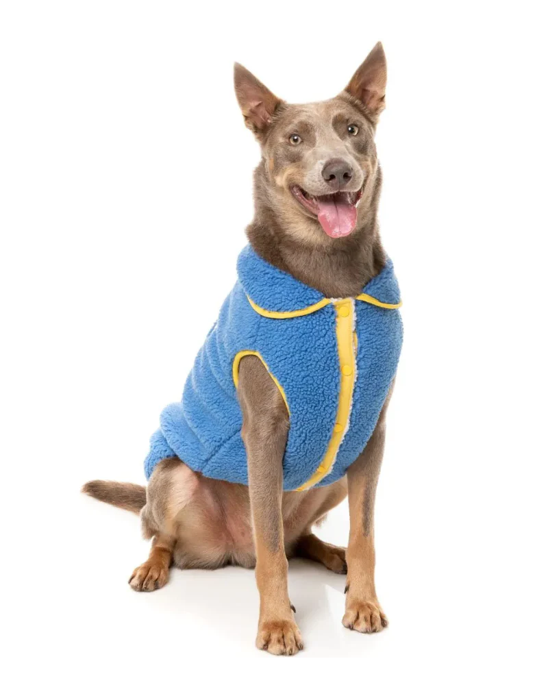 Hana Dog Jacket in Blue (FINAL SALE) - Image 6