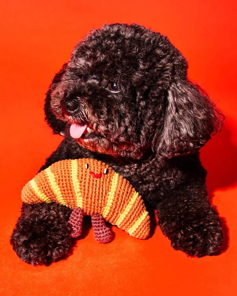 Hand Crochet Croissant Dog Toy - Image 2