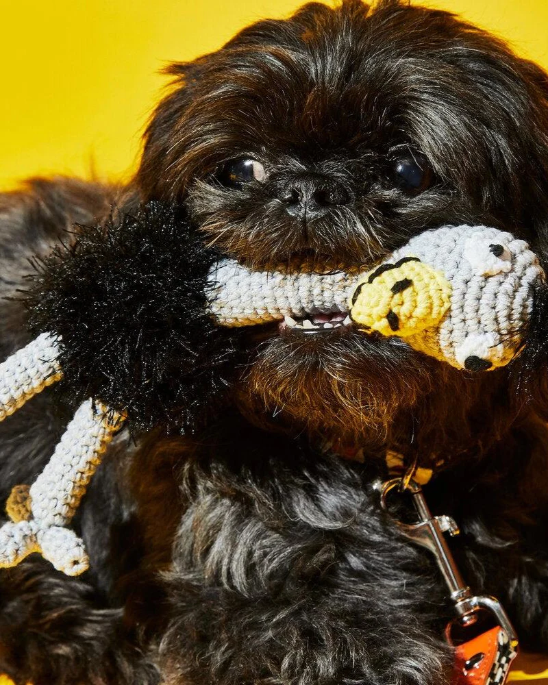 Hand Crochet Ostrich Dog Toy - Image 3