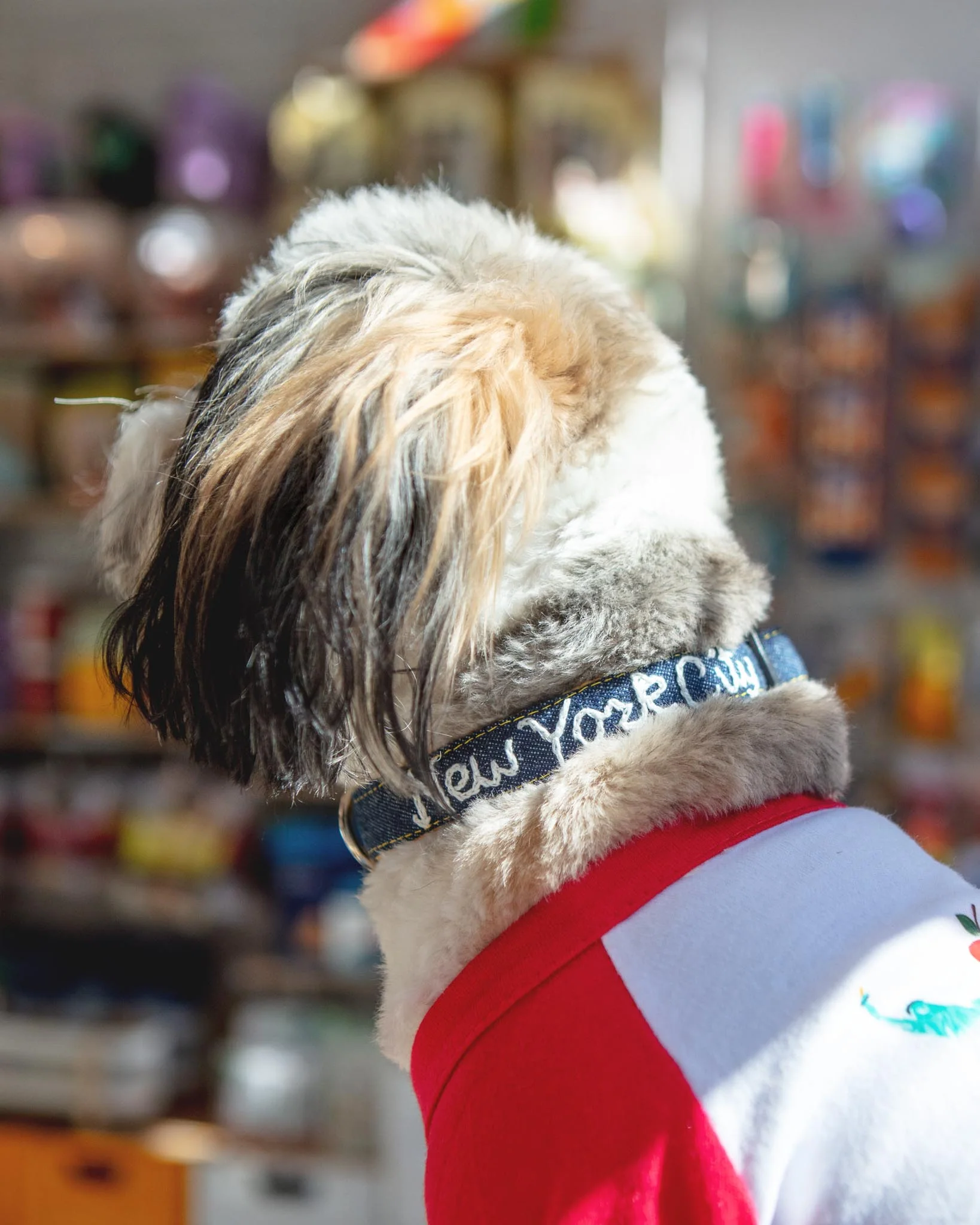 Hand Embroidered "New York City" Dog Collar in Dark Denim (Made in the USA) - Image 4