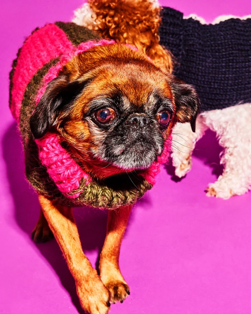 Hand Knit Checkered Wool Dog Sweater (Pink & Green) (FINAL SALE) - Image 5
