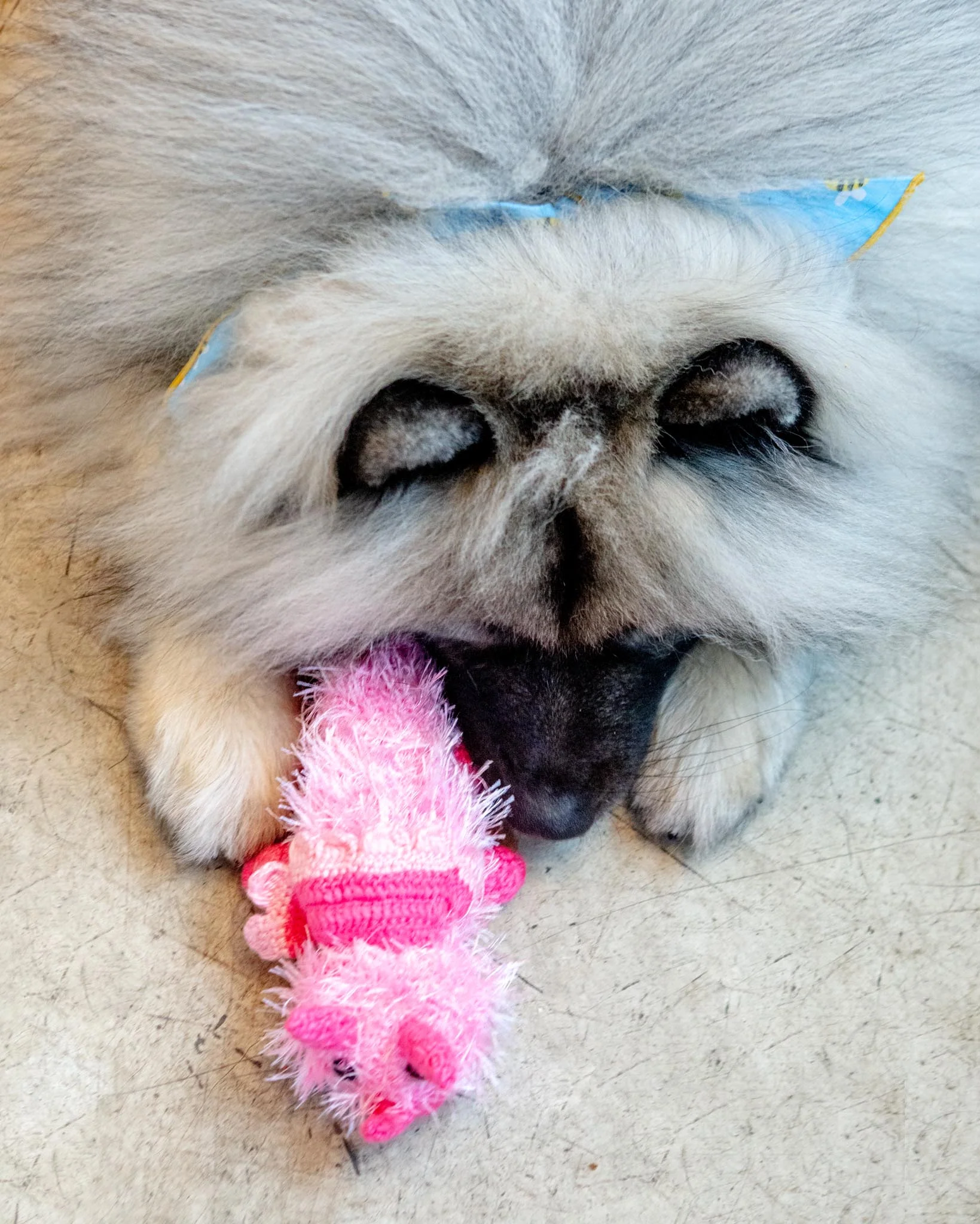 Handmade Dinosaur Squeaky Dog Toy