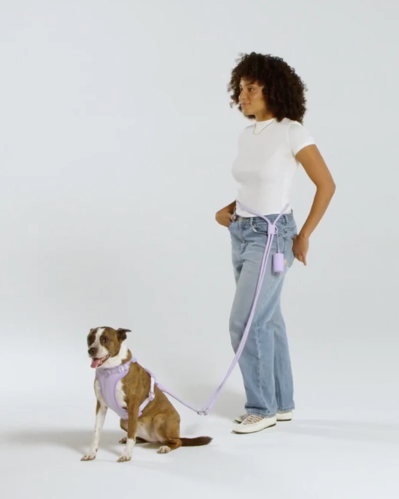 Hands-Free Rope Dog Leash in Blush Pink - Image 2