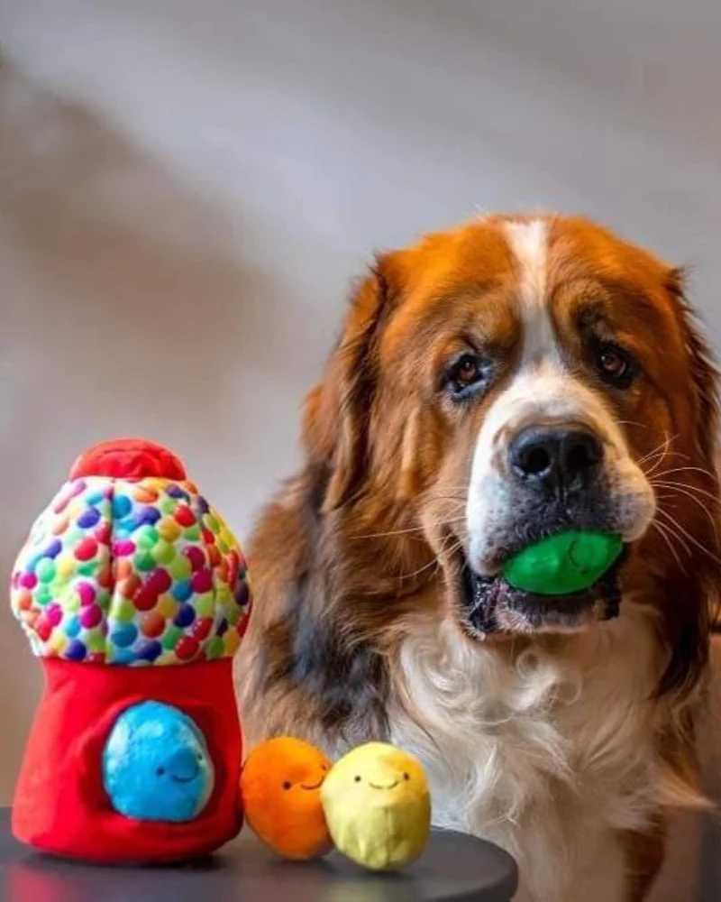 Happy Gumballs Snuffle Dog Toy (FINAL SALE) - Image 4