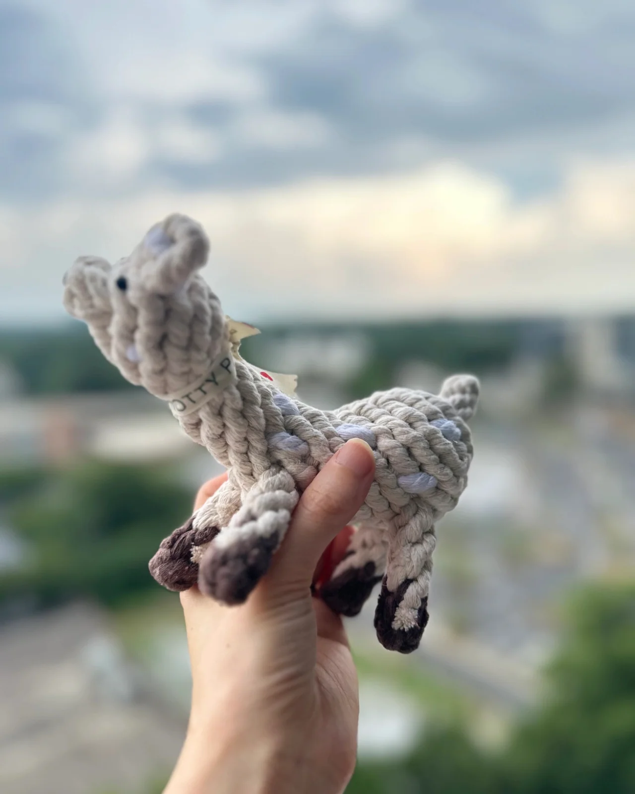 Happy Llama Rope Dog Toy - Image 2