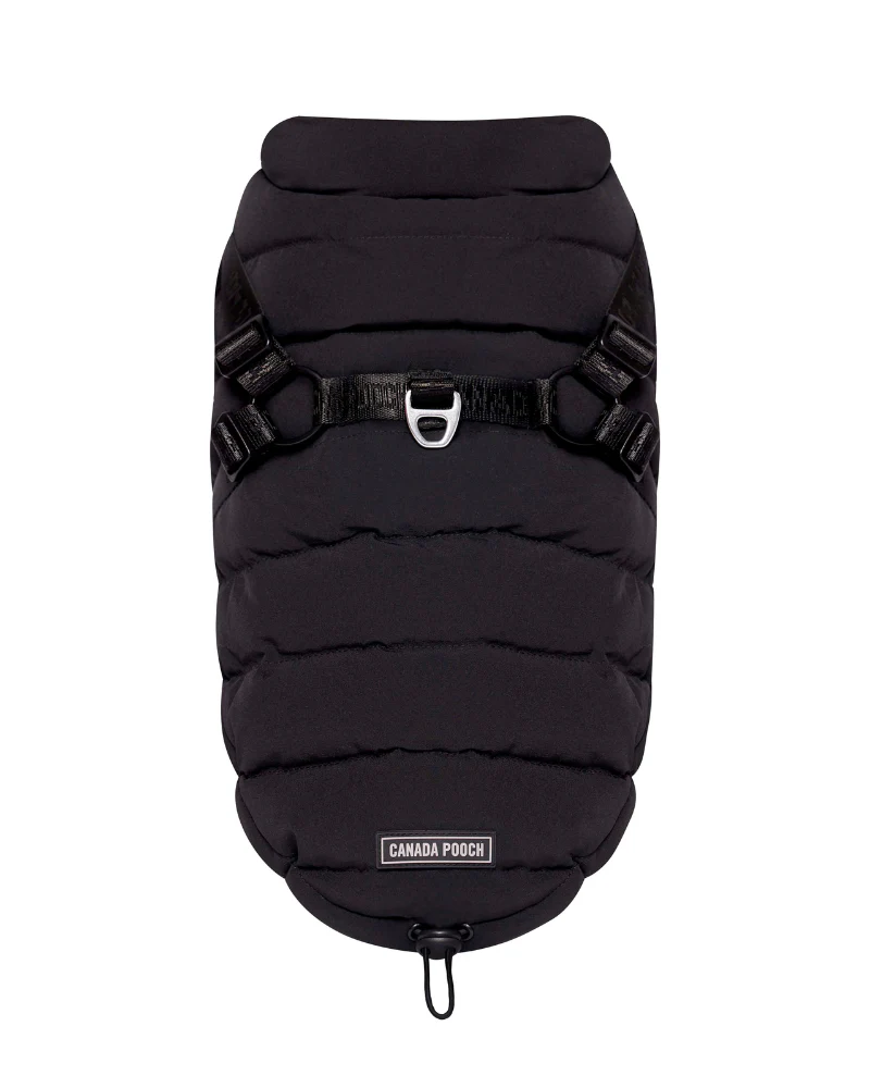 Harness Puffer Dog Jacket in Black (FINAL SALE) - Image 7