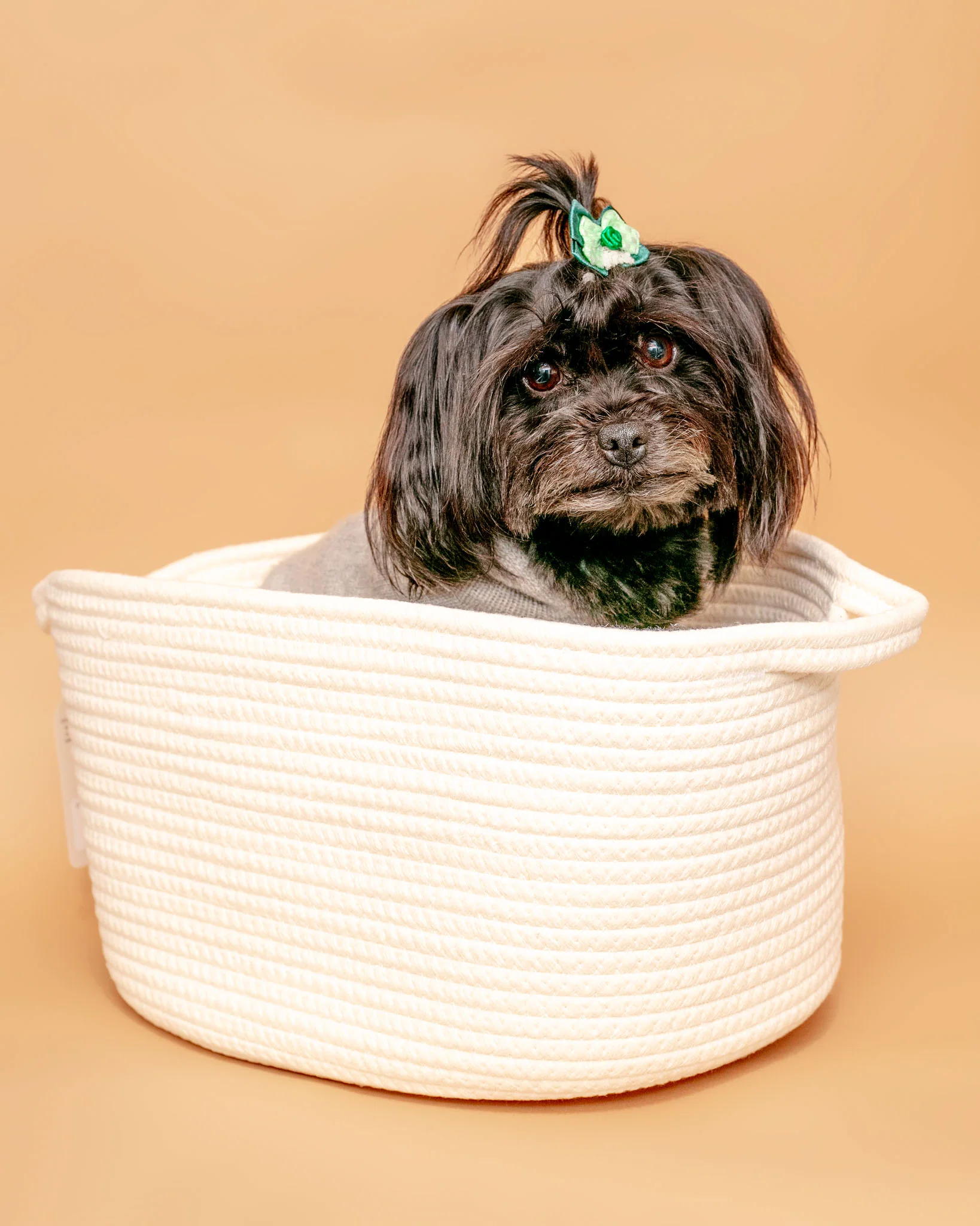 Dog Toy Storage Bin in Natural Cotton Rope - Image 3