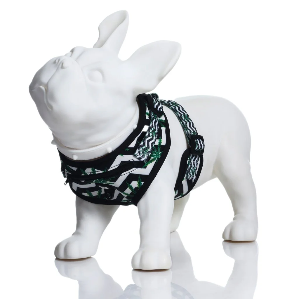 HEADY PET | Chevron & Leaf Print Harness