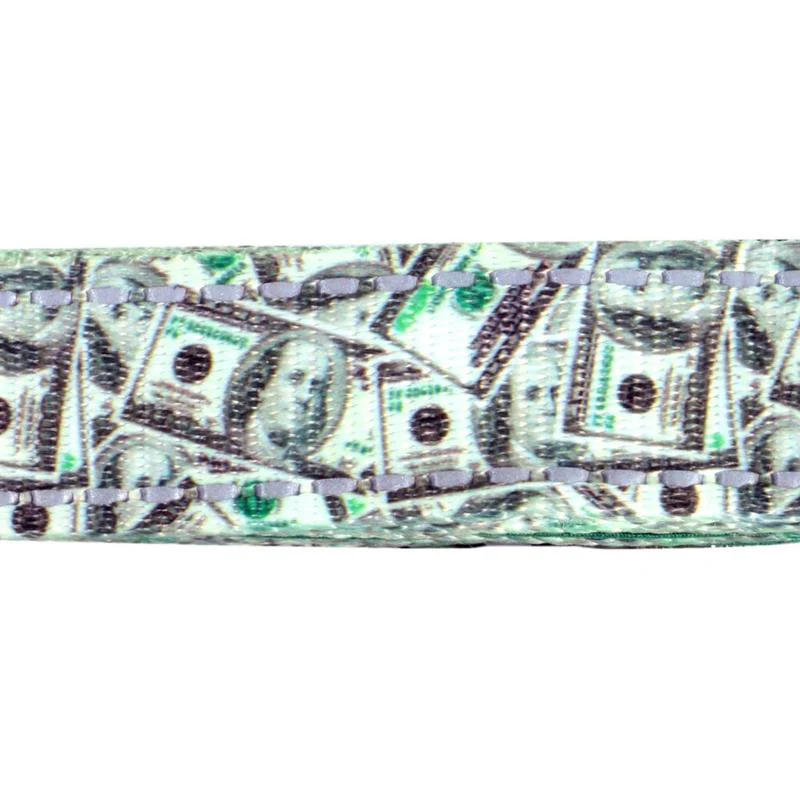 HEADY PET | Money Money Leash - Image 2