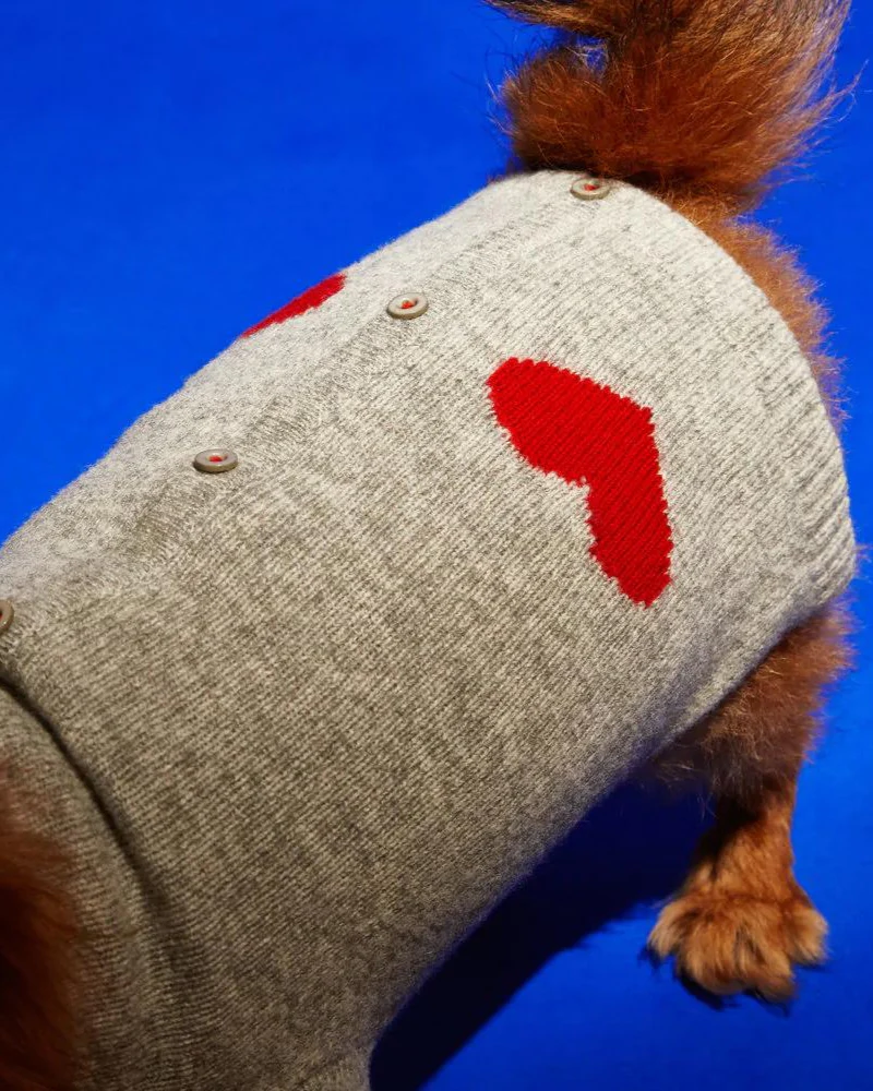 Heart Merino Wool Dog Cardigan Sweater in Grey (FINAL SALE) - Image 8