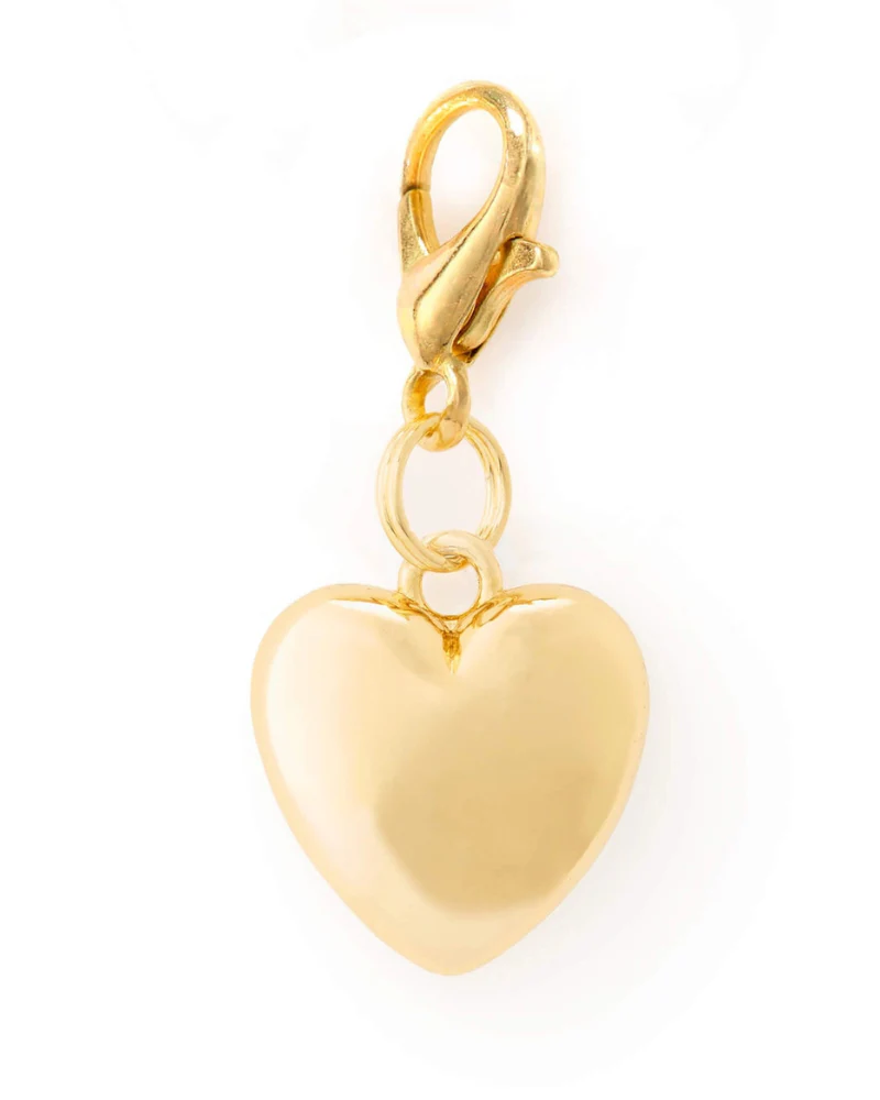 Heart of Gold Collar Dog Charm
