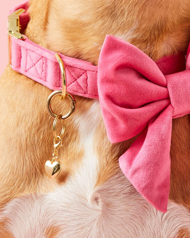 Heart of Gold Collar Dog Charm - Image 4