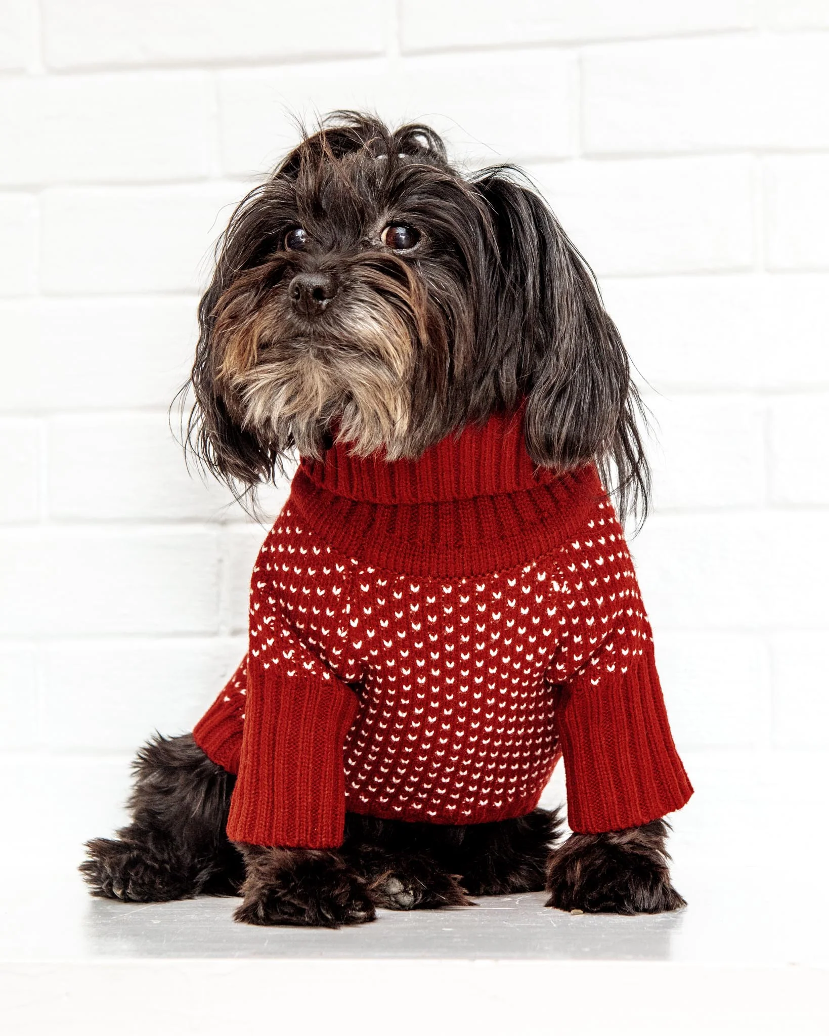 Heart Stitch Turtleneck Dog Sweater (FINAL SALE) - Image 4