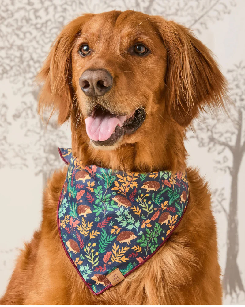 Hedgehog Hollow Cotton Dog Bandana (Made in the USA) (FINAL SALE)