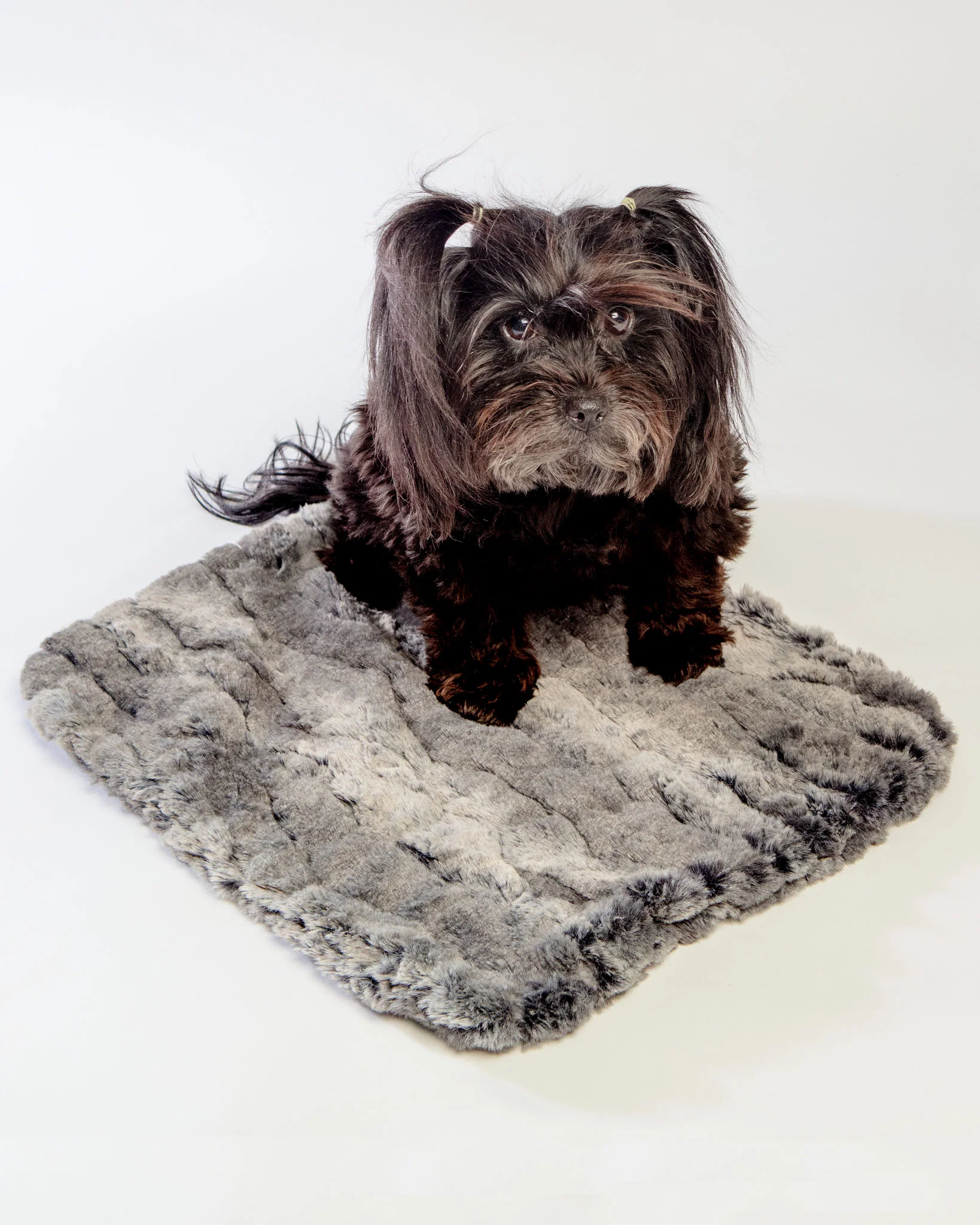 Luxe Granite Plush Dog Blanket (Made in the USA)