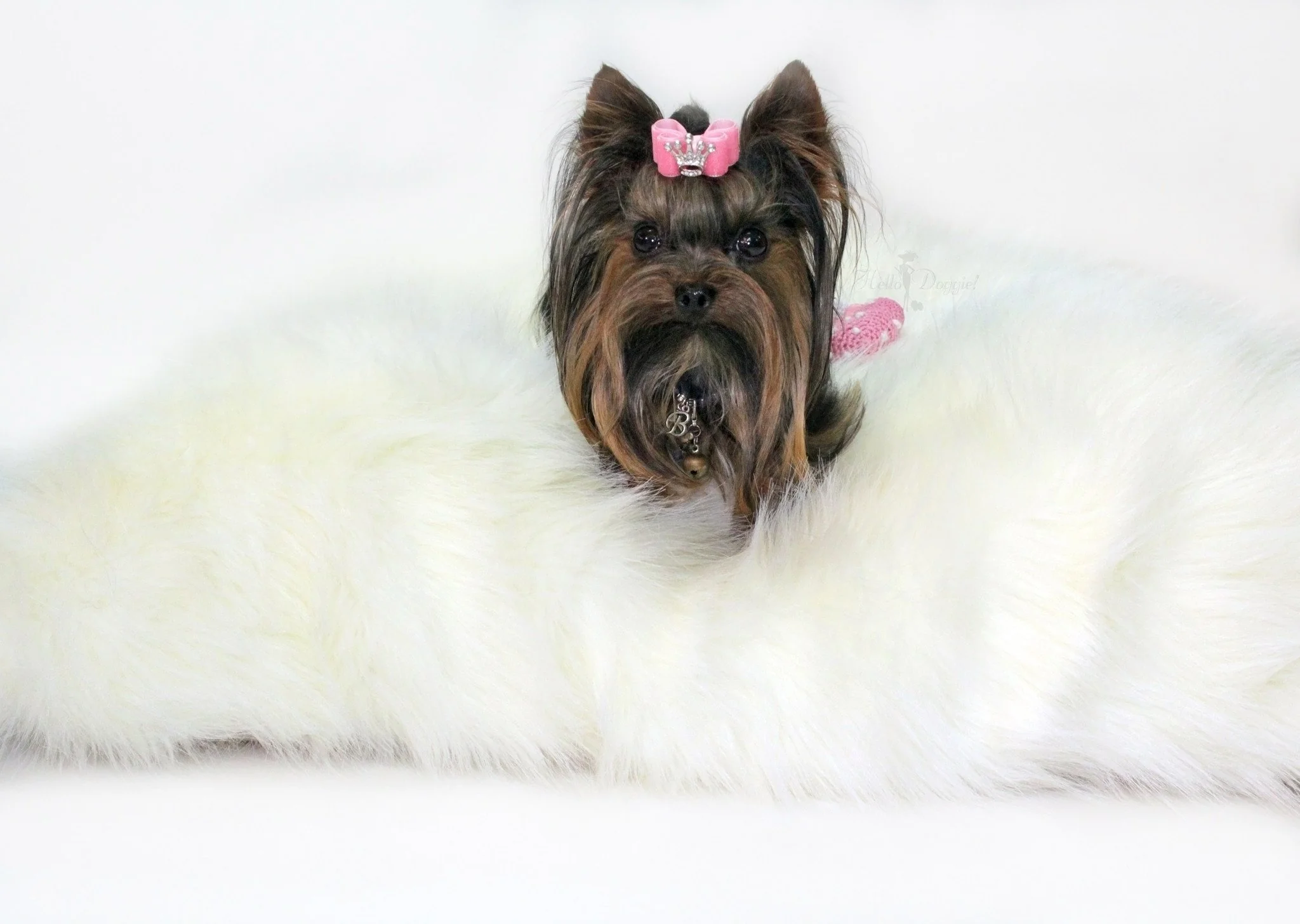 The Arctic Dog Bed (Custom / Drop Ship) - Image 2
