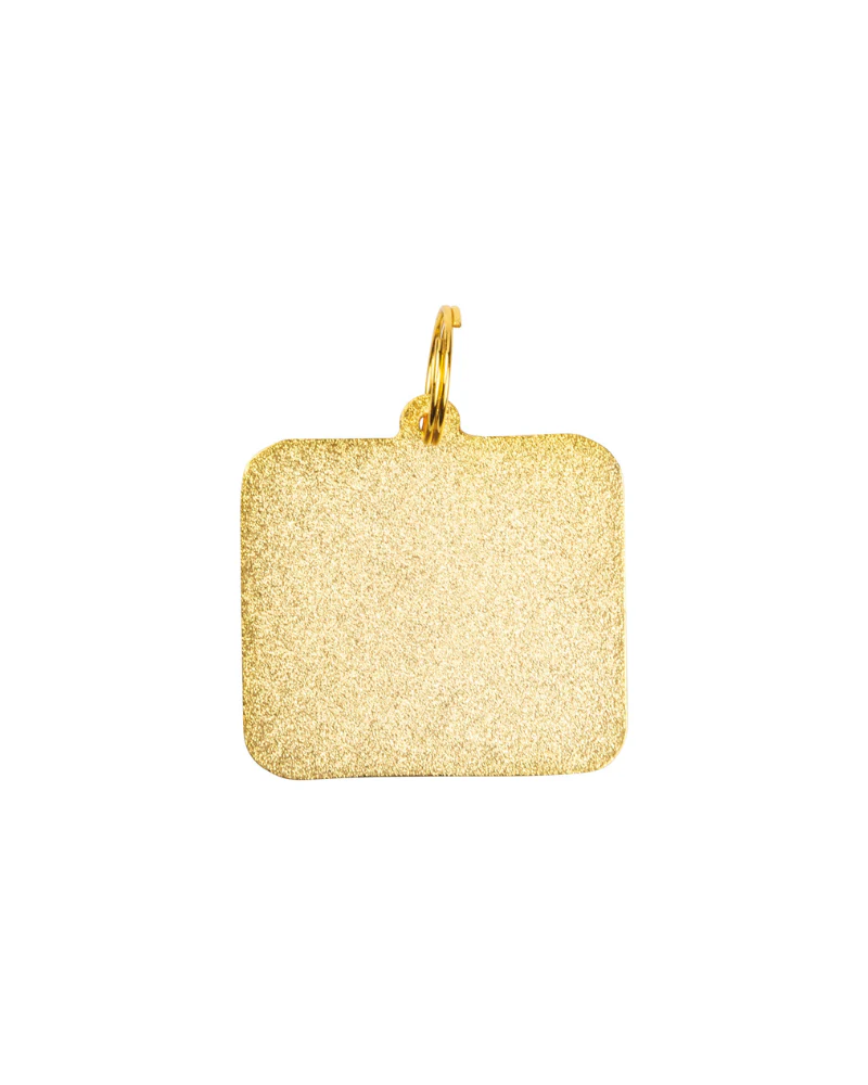 HELLO My Name is Good Boy Collar Charm - Image 2