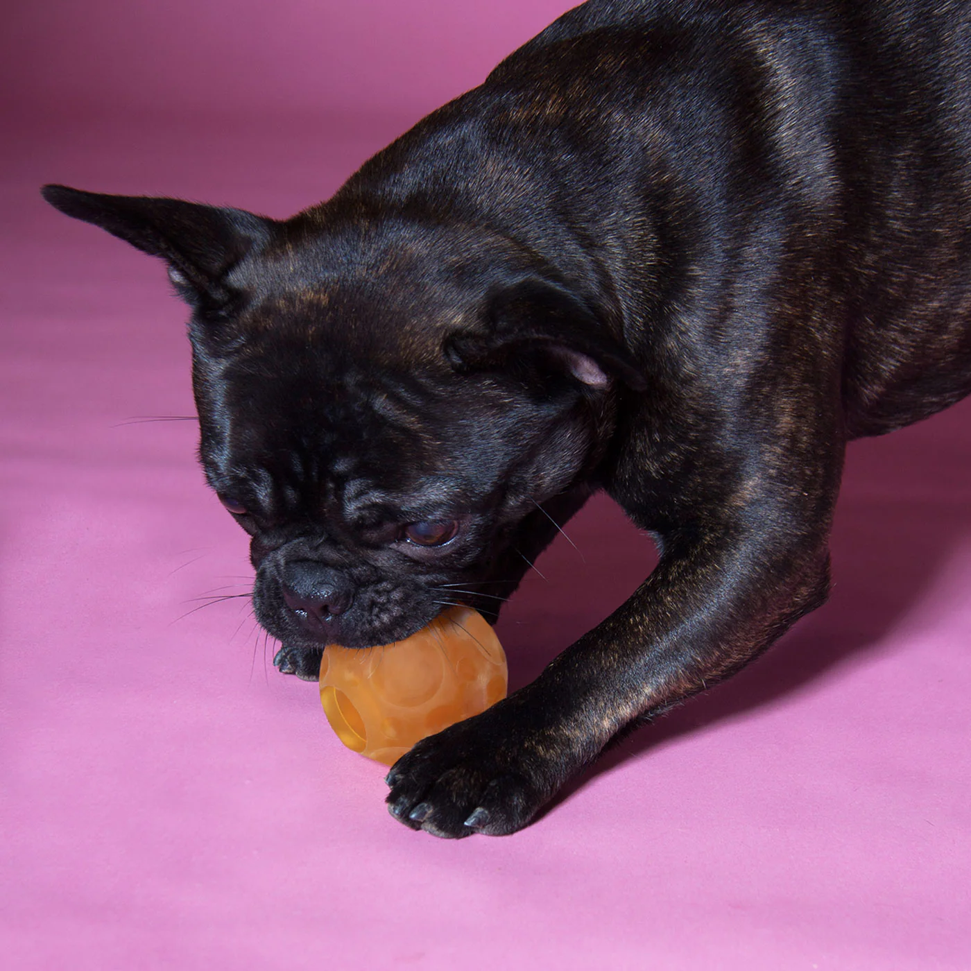 HEVEA | Moon Ball Activity Toy - Image 2