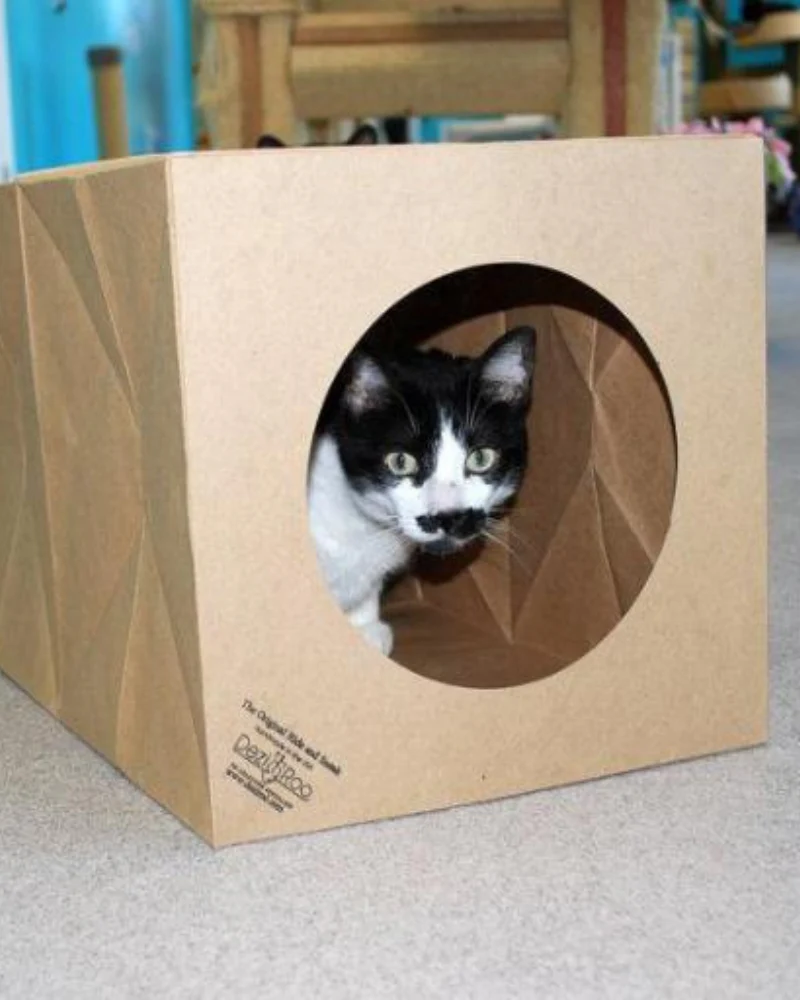 Hide and Sneak Cat Toy Tunnel (Made in the USA) - Image 2