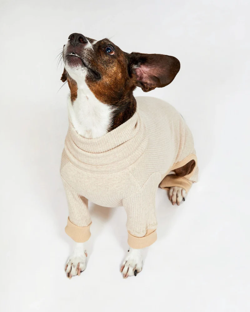 High-Neck Dog Onesie in Beige (FINAL SALE) - Image 5