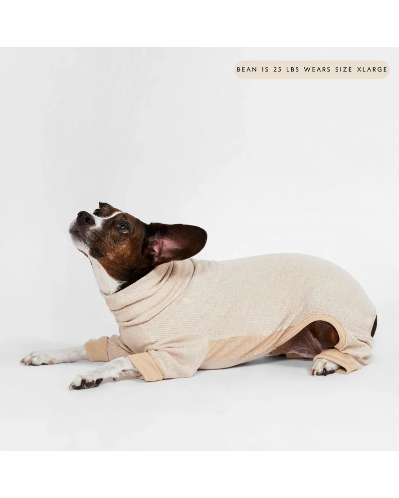 High-Neck Dog Onesie in Beige (FINAL SALE) - Image 8
