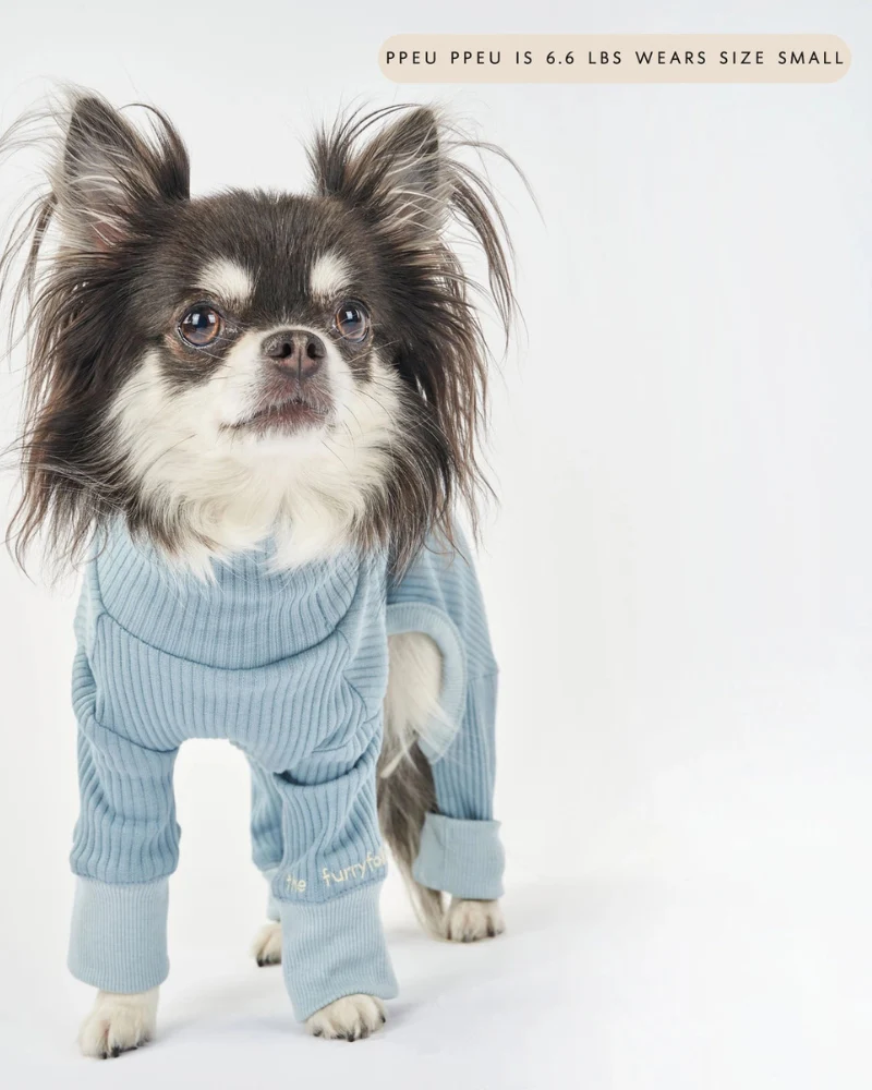 High-Neck Dog Onesie in Light Blue - Image 6