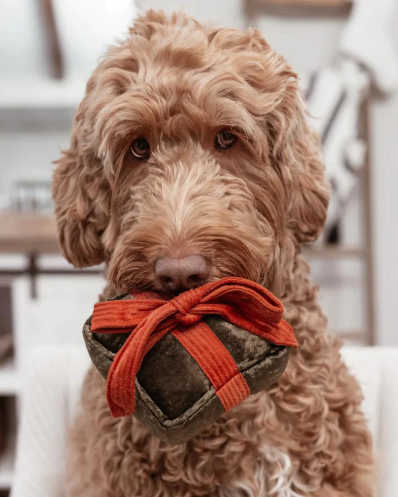Holiday Box Christmas Squeaky Dog Toy - Image 2