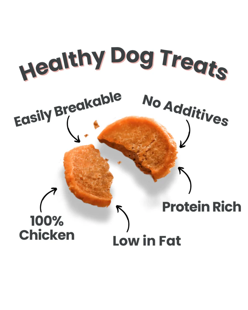 Holiday Chicken Chips Dog Treats - Image 3